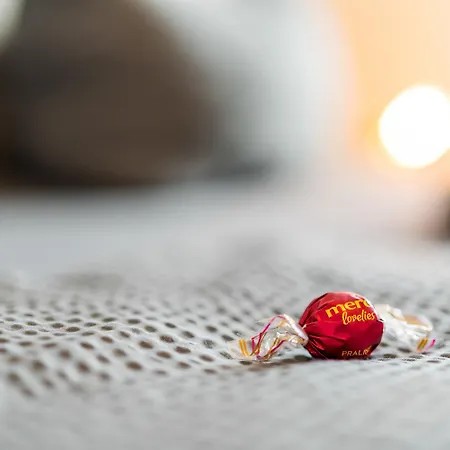 Seezeit Maisonette In Direkter Seenaehe Friedrichshafen